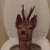 adamgrubbs